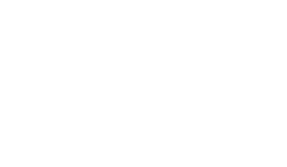 Code Republic, Разработка Сайтов